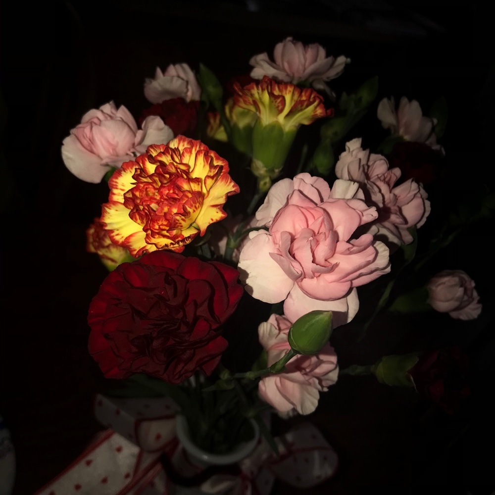 Meet your Posher, Erica